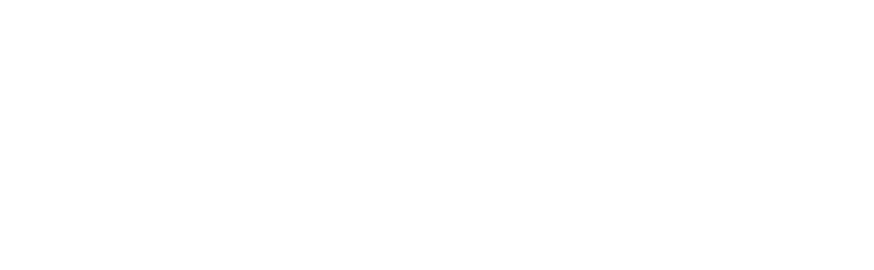 Logo Lunatica